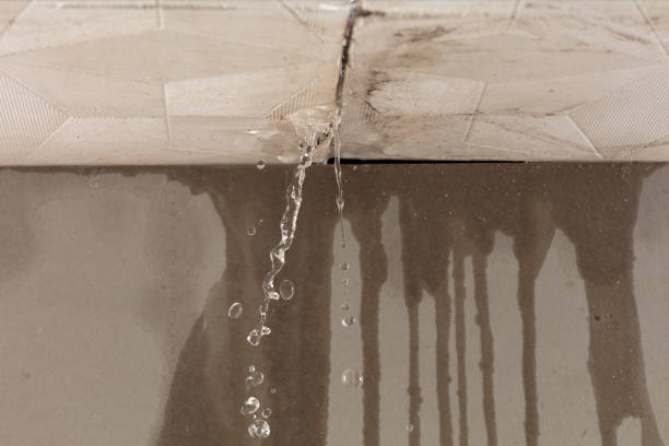Professional Water Damage Inspection technician working in Solomons, MD